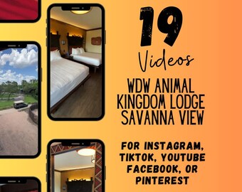 WDW Animal Kingdom Savanna Room Videos, Travel Agent Social Media (Canva, 19 Videos)