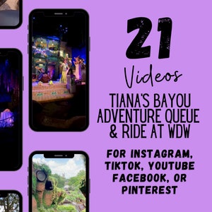 WDW Travel Agent Social Media, Travel Agent Social Media, WDW IG Reels & TikTok