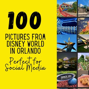 disney travel agent
