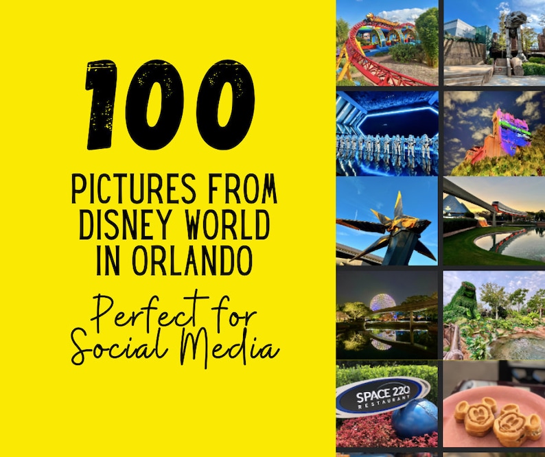 disney travel agent