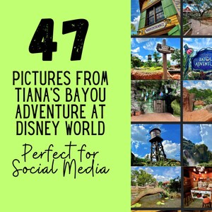 WDW Travel Agent Pictures for Social Media IG Posts, FB, X, Threads, and Pinterest