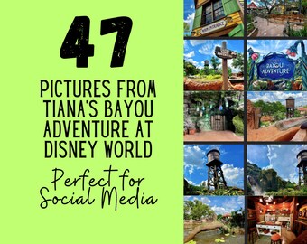 WDW Travel Agent Pictures for Social Media IG Posts, FB, X, Threads, and Pinterest