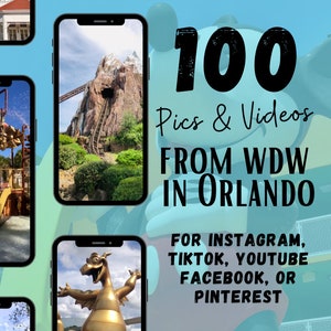 100 WDW Travel Agent Social Medium, Travel Agent Social Media, WDW IG Reels & TikTok