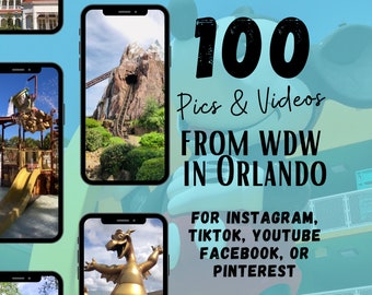 WDW Travel Agent Social Media, 100 WDW Pics and Videos (Canva PDF)