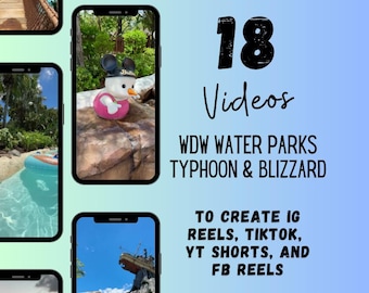 WDW Water Park Videos, Travel Agent Social Media (Canva)