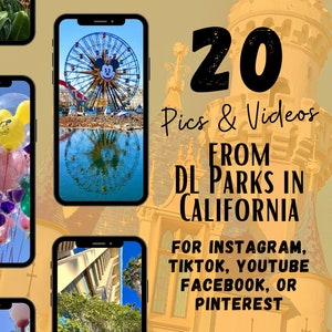 DL Parks in California Travel Agent Social Media, DL Parks Travel Agent Social Media, and IG Reels & TikTok