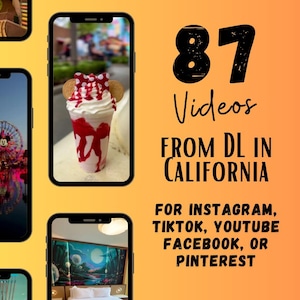 DL Parks in California Travel Agent Social Media, DL Parks Travel Agent Social Media, and IG Reels & TikTok