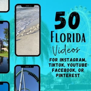 50 Florida Travel Agent Social Medium, Social Media per Agenti di Viaggio, WDW IG Reels e TikTok