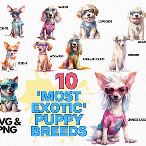 dog breed clipart bundle png svg digital download | 10 unique puppy breed illustrations for crafts and commercial use