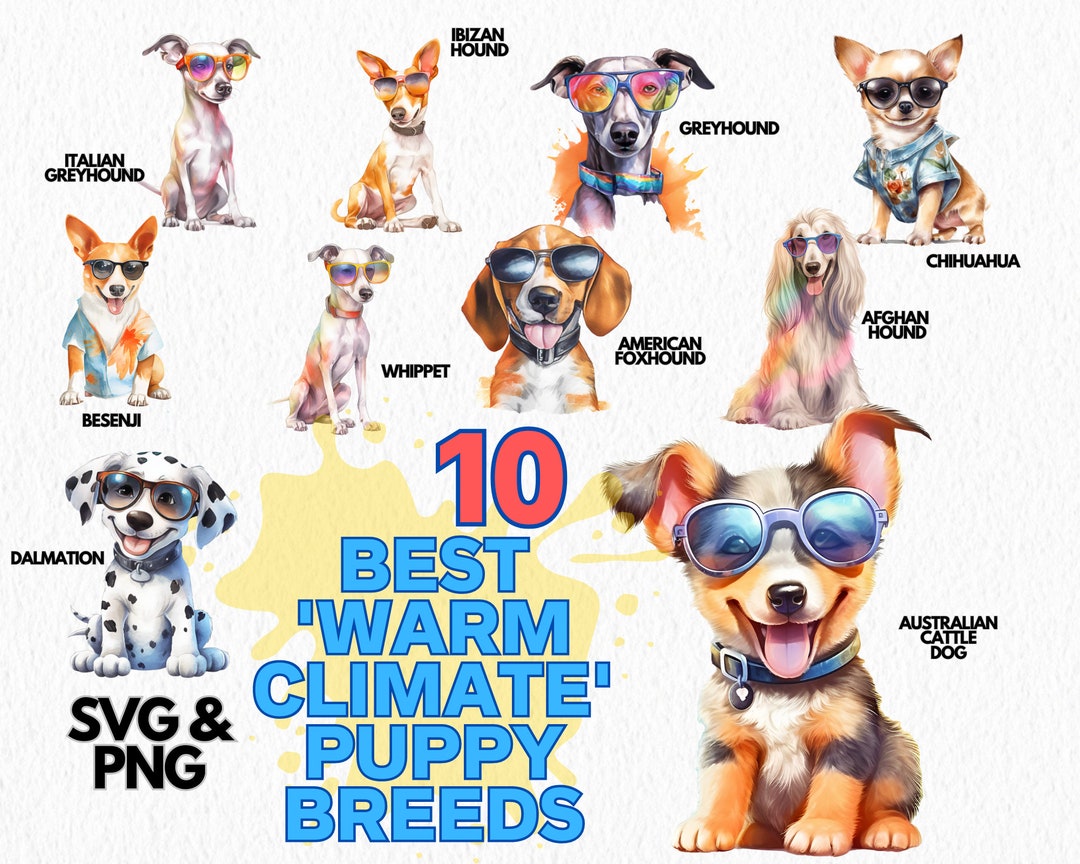 Watercolor Puppy Breeds Clipart: Dog PNG SVG Bundle (commercial Use) - Etsy