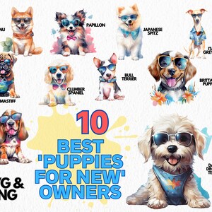 Hunderasse Clipart Bundle Aquarell Welpen Png SVG digitaler Download für Handwerk Sublimation kommerzielle Nutzung