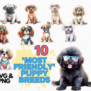 Watercolor 10 Friendliest Puppy Breeds Clipart , Dog PNG Bundle , SVG Bundle , Dog Clipart , Instant Download and Commercial Use