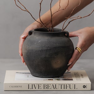 Vintage Clay Pot with Natural Appeal - Perfect for Plant Lovers and Collectors