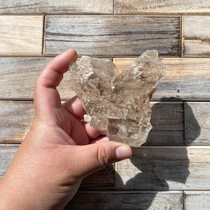 Fishtail Selenite Specimen | From Mexico | Angel Wing Selenite | Genuine Selenite