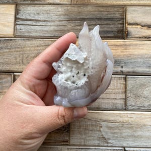 Op de afbeelding: Een lichtpaarse en witte kristalformatie met een unieke, organische vorm. Het kristal heeft een geode-achtig centrum en een gladde, gepolijste buitenkant. Het kristal wordt in een hand gehouden, wat de grootte en details laat zien. De achtergrond is een houten oppervlak.