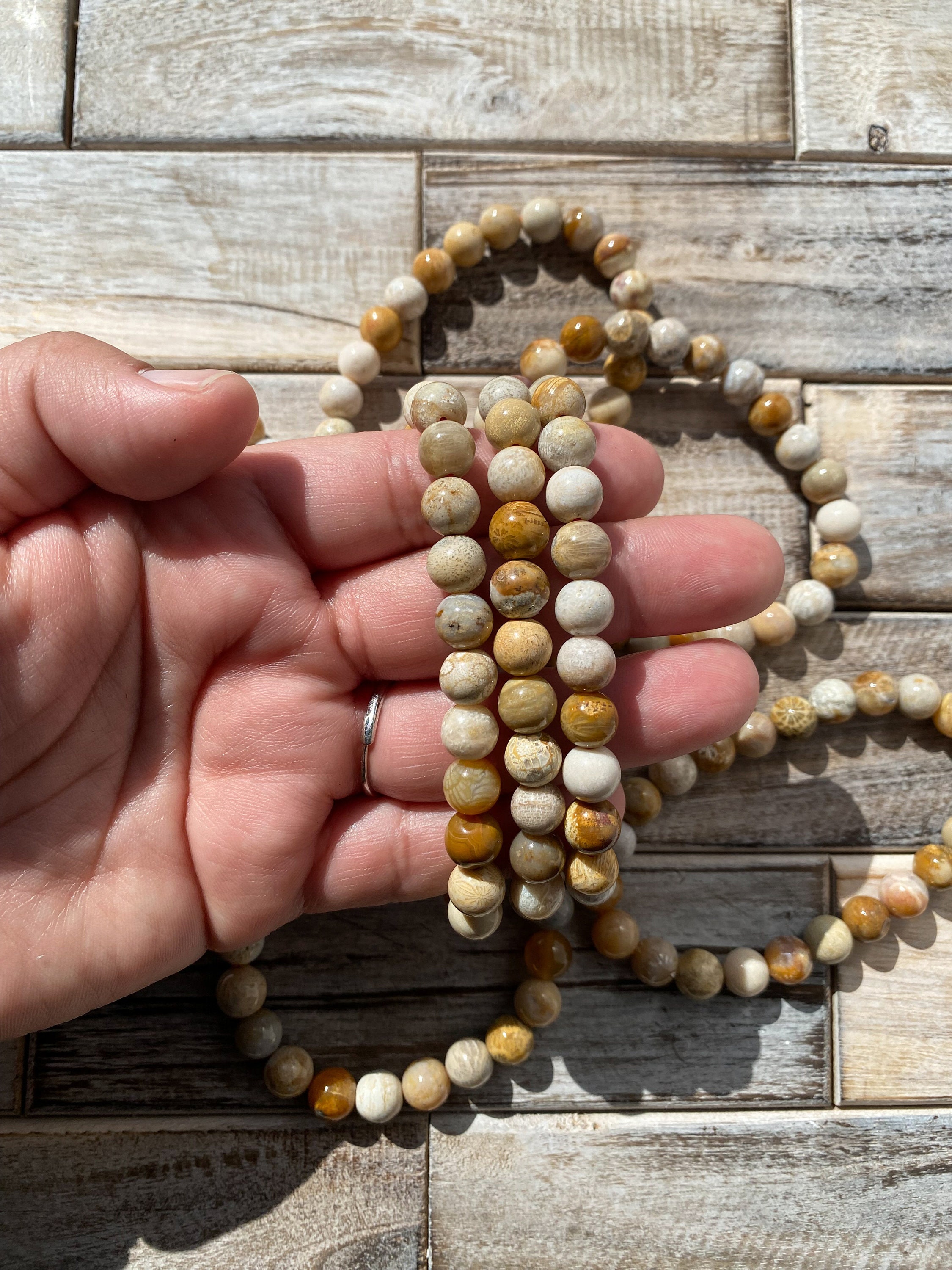 Fossil coral jasper - Etsy 日本
