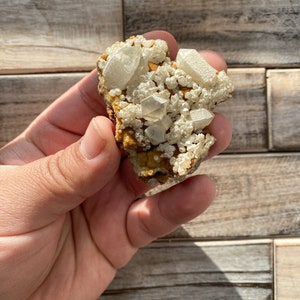 May include: A small rock with a cluster of white crystals. The crystals are clear and have a glassy appearance. The rock is brown and has a rough texture.