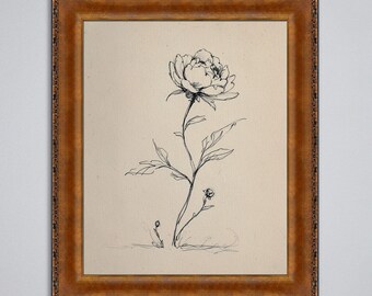 Op de afbeelding: Ingelijste botanische kunstprint met een pen- en inkttekening van een pioenroos. Het kunstwerk staat tegen een crèmekleurige achtergrond en is ingelijst in een decoratieve, goudkleurige lijst. De bloemenillustratie toont de delicate bloemblaadjes en stengel.