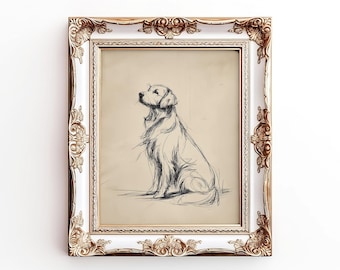 Printable Golden Retriever Sketch | Vintage Style Dog Wall Art | Digital Download