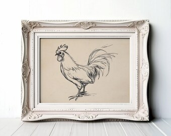 May include: A framed sketch of a rooster. The artwork is a black and white drawing of a rooster with detailed feathers and a prominent comb. The frame is white with ornate detailing, adding a vintage aesthetic.