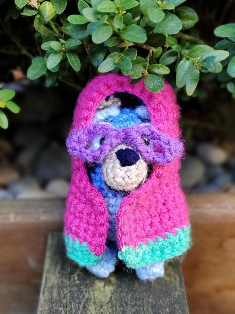 PATTERN ONLY Bluey Inspired Crochet Grannies Etsy Canada