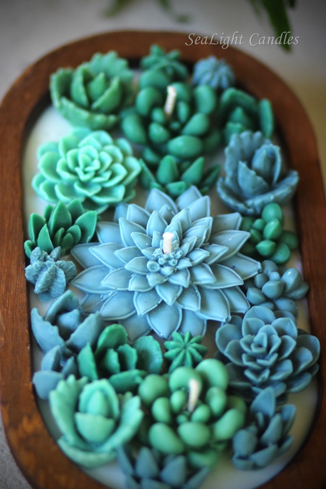 Succulent Dough Bowl Candle Paulownia Wood Wax Succulents Artistic Candle Botanical Candle