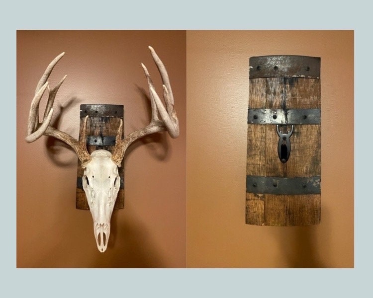Plaque de montage européenne avec cintre en forme de crâne de cerf. Cintre  de montage de crâne euro LIVRAISON GRATUITE -  Canada