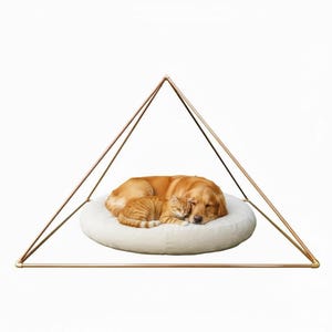 May include: A golden retriever dog and an orange tabby cat sleeping together on a round, off-white fabric cushion. The cushion is positioned inside a large, open-frame pyramid structure made of thin, metallic, copper-colored rods.