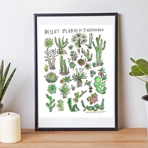 Stampa ad acquerello delle piante del deserto della California / Acquerello delle piante del deserto / Poster dei cactus della California / Stampa del Balboa Park Desert Garden