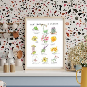 San Diego Native Flower Plants Poster | California Native flowers plants artwork | San Diego wall Decor | San Diego wall art multiple sizes