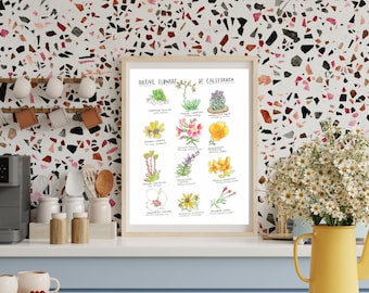 San Diego Native Flower Plants Poster | California Native flowers plants artwork | San Diego wall Decor | San Diego wall art multiple sizes