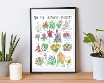 Poster di fiori nativi del Vermont / Acquerello di fiori selvatici del Vermont / Fiori del New England / Arte naturalistica del Vermont / Arte escursionistica del Vermont / Fiori del VT