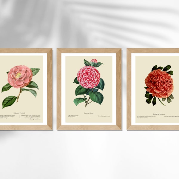 RHONY Poster Bundle ⎟LuAnn de Lesseps ⎟Ramona singer ⎟Bethenny Frankel⎟Real Housewives of New York⎟Gift⎟Botanical Flower print ⎟Bravo Poster