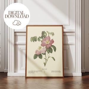 Vanderpump Rules Scandoval Printable | VPR Digital Art Print | Ken Todd James Kennedy Wall Decor | Team Ariana Bravo Fan Gift