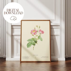Könnte beinhalten: Eine botanische Illustration einer rosa Rose mit grünen Blättern und Stielen. Der Text "Artans Modis" ist unter dem Bild gedruckt, zusammen mit dem Text "Im smarter than you", "Im cooler than you", "Im prettier than you", "Set the fuck over it", "move on with your life".