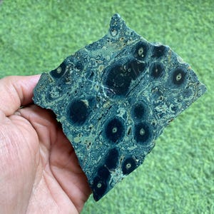 May include: A piece of polished gemstone in shades of teal and dark blue, featuring a unique pattern of circular, eye-like formations. The stone is held against a backdrop of green grass, showcasing its natural beauty and texture.