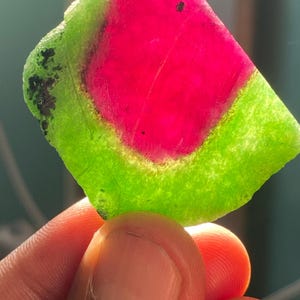 May include: A translucent watermelon tourmaline slice featuring a vibrant hot pink center surrounded by a bright lime green outer rim. The gemstone displays natural internal inclusions and a jagged, irregular edge with dark mineral deposits.