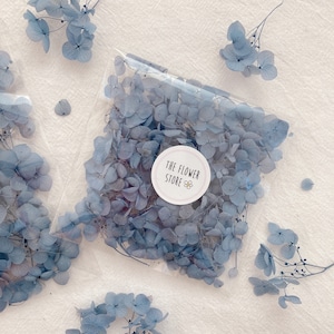 DARK BLUE Preserved Hydrangea Flower Floral Pack DIY Confetti Gift Decor Candle Card Resin Art Wedding Candle Hydrangea Rose Bunny Tail