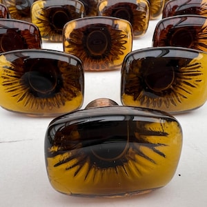 May include: A collection of rectangular cabinet knobs with a sunflower design. The knobs are made of amber-colored glass with a dark brown center and yellow-brown radiating lines. The hardware is suitable for furniture.