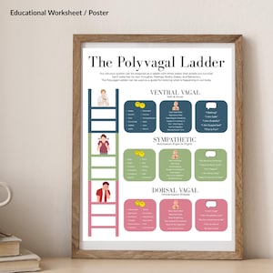 Peut inclure: Une affiche infographique colorée intitulée "The Polyvagal Ladder" explique les trois états du système nerveux : Ventral Vagal, Sympathique et Dorsal Vagal. Chaque état est illustré par une personne et une liste de sentiments, d'états corporels et de comportements associés.