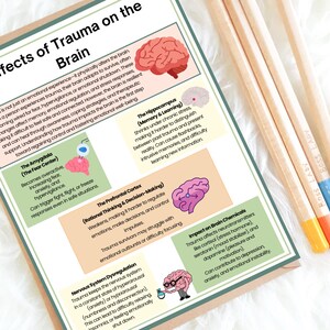 K&ouml;nnte beinhalten: Diagramm, das die Auswirkungen von Trauma auf das Gehirn zeigt. Das Diagramm zeigt die Amygdala, den Hippocampus, den pr&auml;frontalen Kortex und das Nervensystem. Das Diagramm enth&auml;lt auch Text, der die Auswirkungen von Trauma auf die Chemikalien im Gehirn beschreibt.