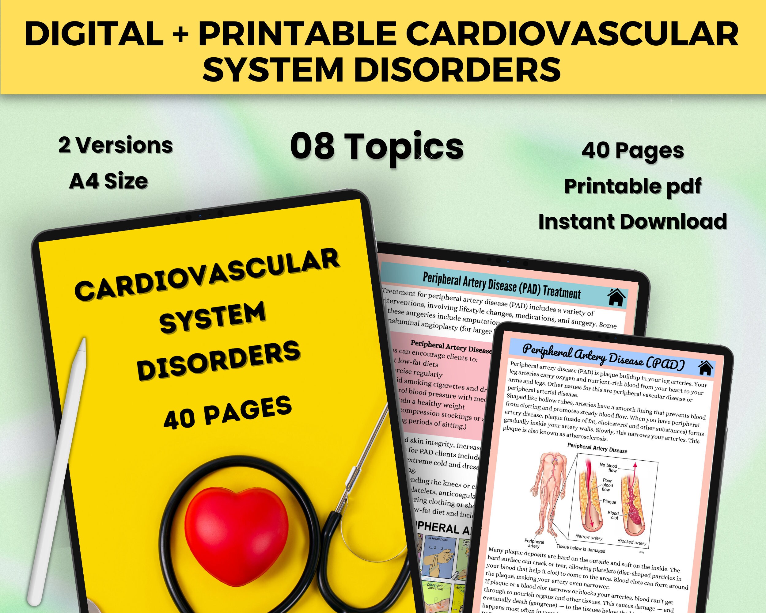 Digital Cardiovascular System | 40 Pages of Bundle | Cardiac Nurse Notes | Nursing Study Notes | Anatomy Notes | Instant Download