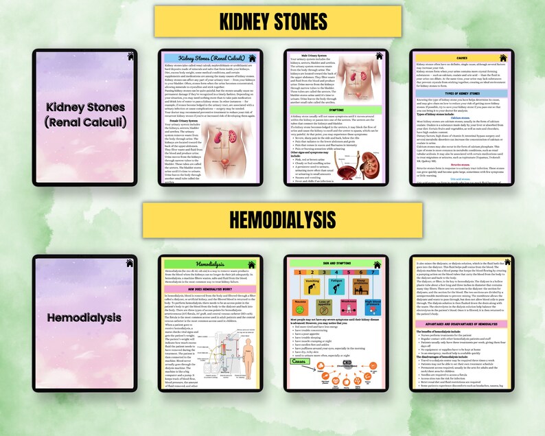 Digital Urinary Disorder | Renal System Study Guide | Nursing Notes ...