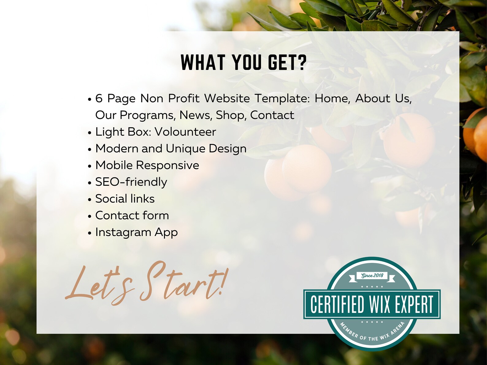 Children's Hope Nonprofit Wix Website Template Customizable NGO
