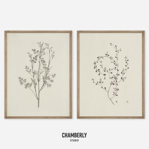 Vintage Botanical Print SET of Two, Neutral Prints, Farmhouse Wall Decor, French Country Botanical Print, Floral Digital Download Artwork