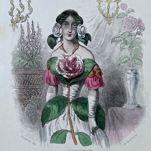 Elegant Floral Personification Camellia by Jean Ignace Isidore GRANDVILLE (1803-1847)