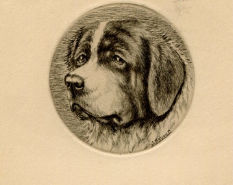 Antique Dog Portrait Illustration - St. Bernard Head Study - 19th Century Animal Art Jacques REBOUR (XX) Dog Portrait
