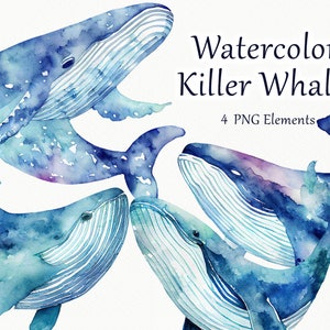Blue Whale Watercolour clipart. Watercolor Whale clipart. Whale clipart. Ocean Watercolor Clipart. Sea life. Ocean Animal PNG.