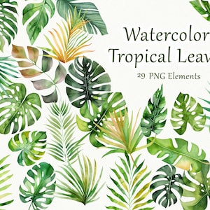 Aquarell Tropische Blätter Clipart. Tropische Clipart. Tropischer Strand Clipart. Sommer Clipart. Palmenblatt, Bananenblatt. Tropische Blätter PNG