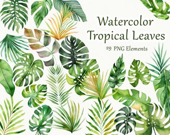 Watercolor Tropical Leaves Clipart. Tropical Clipart. Tropical Beach Clipart. Summer Clipart. Palm Leaf, Banana Leaf. Tropical Leaves PNG
